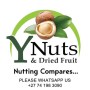 ynuts-logo